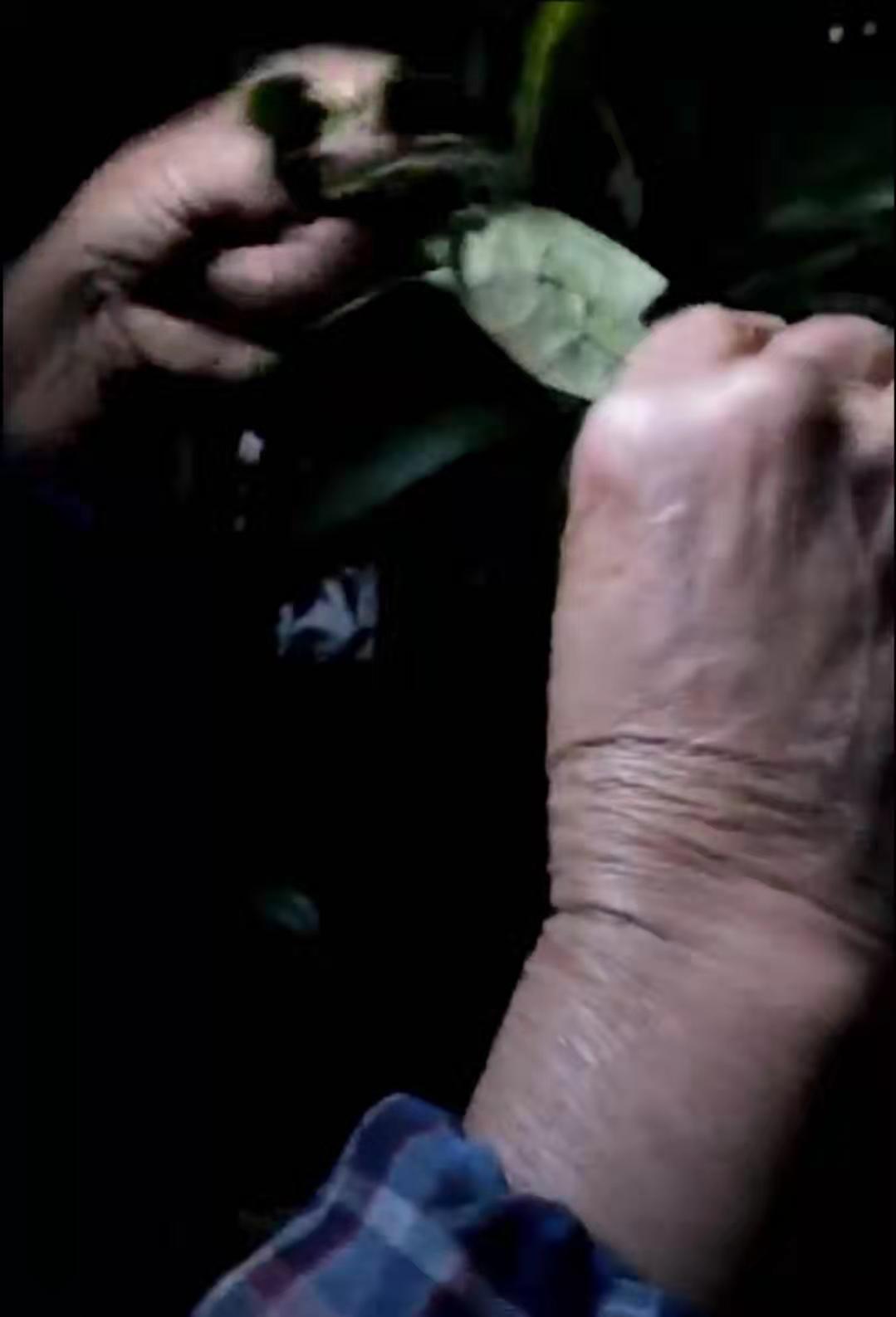 1574125873842562.jpg d838a3f3f1c453a66a38faacafe9acc.jpg