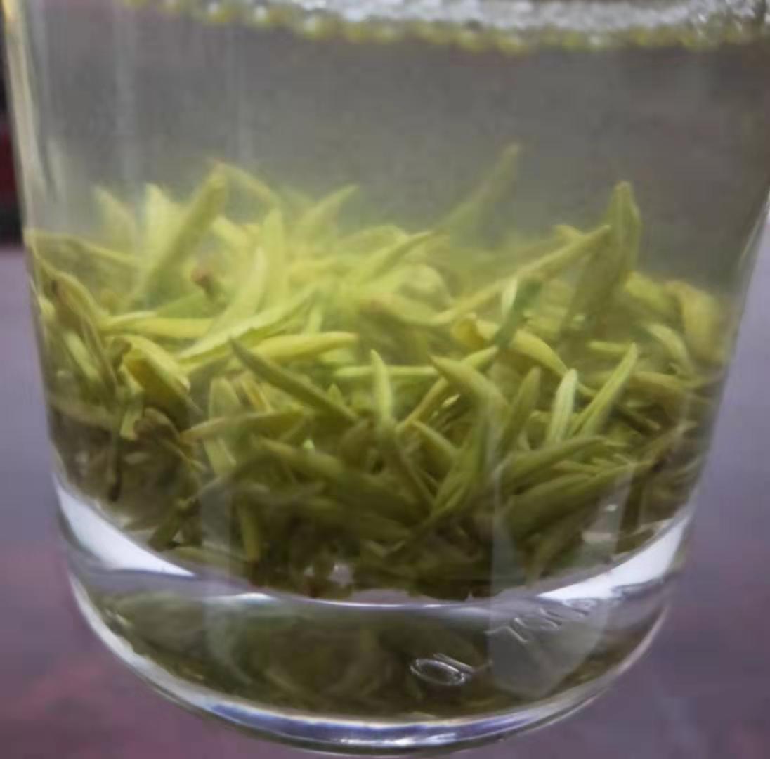 1574126954346233.jpg 微信图片_20191119092926.jpg