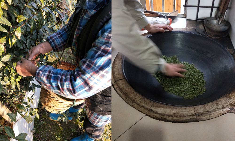 1581339154163305.jpg 未标题-1_副本.jpg