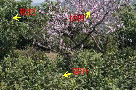 1581343733870618.jpg 6149020aa3401e454135e748a52f5ad_副本.jpg