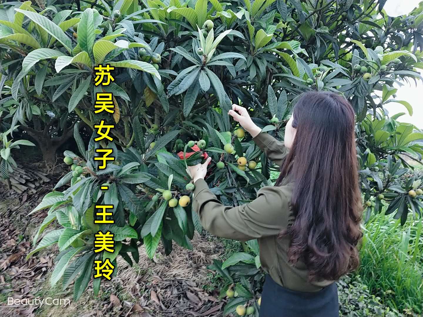 1588692108192782.jpg 14ce11e5a7c9ff9c89630ad870181d9.jpg