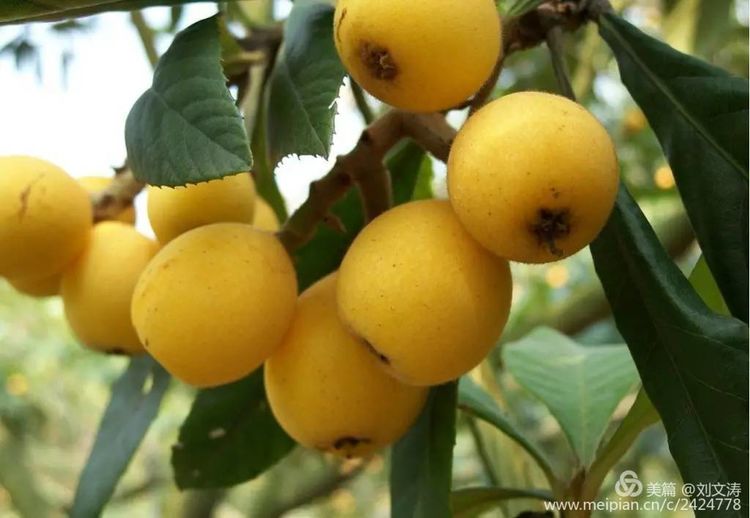 1591169281113190.jpg 30.jpg