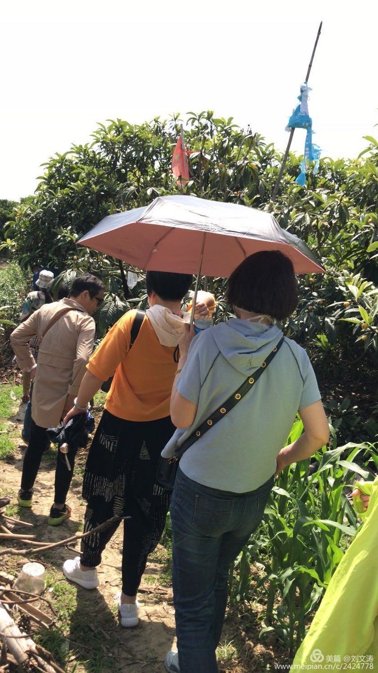 1591169288134865.jpg 31.jpg