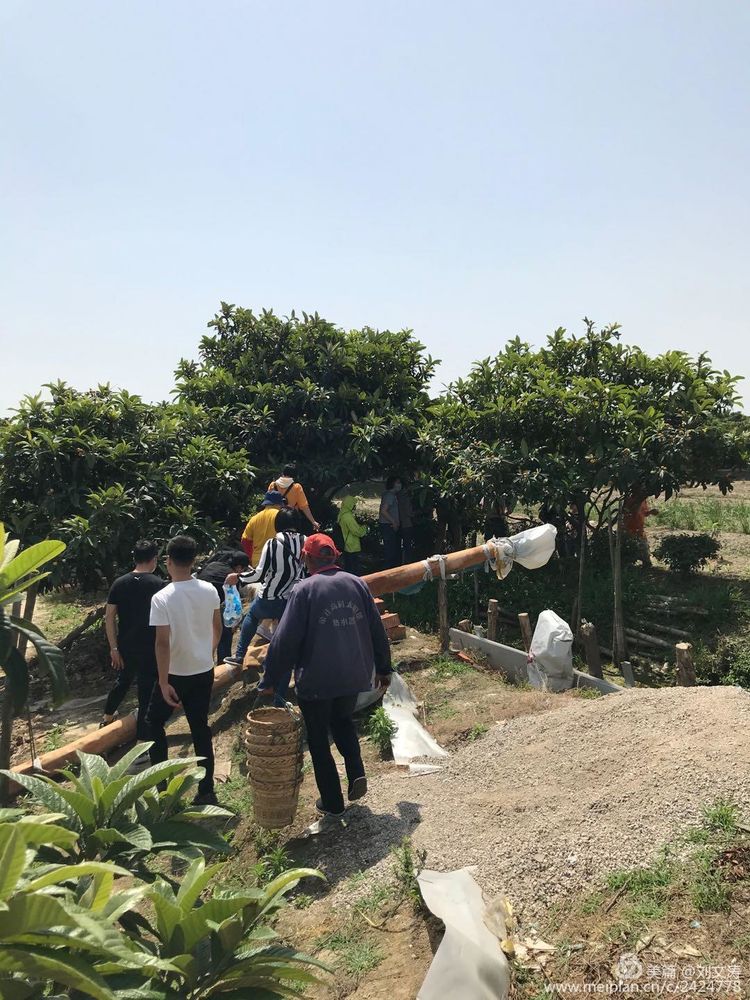 1591169292123690.jpg 32.jpg