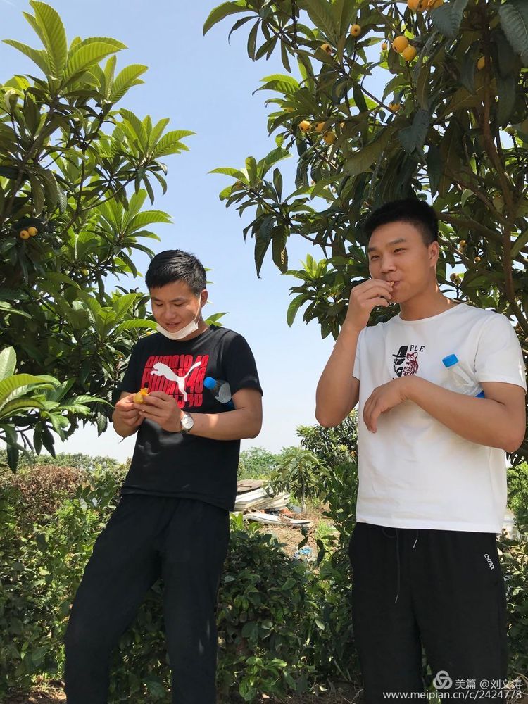 1591169303945838.jpg 34.jpg