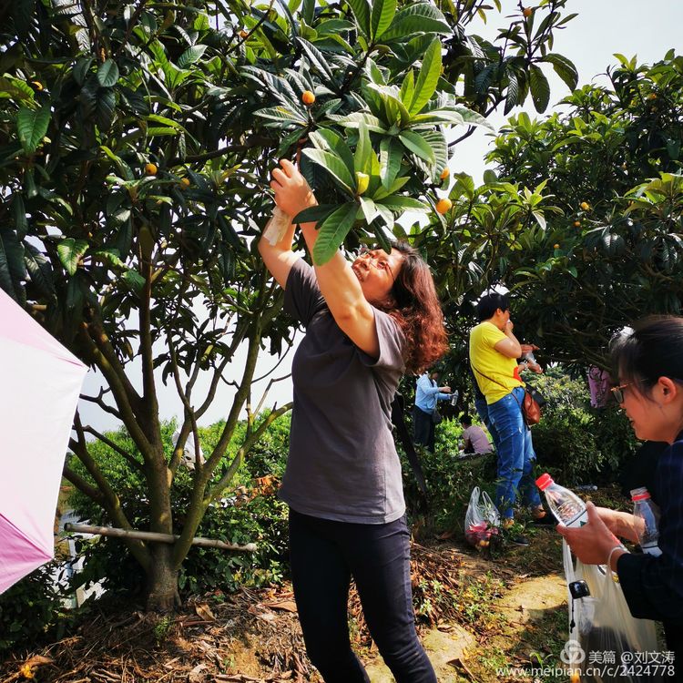 1591169333128243.jpg 37.jpg