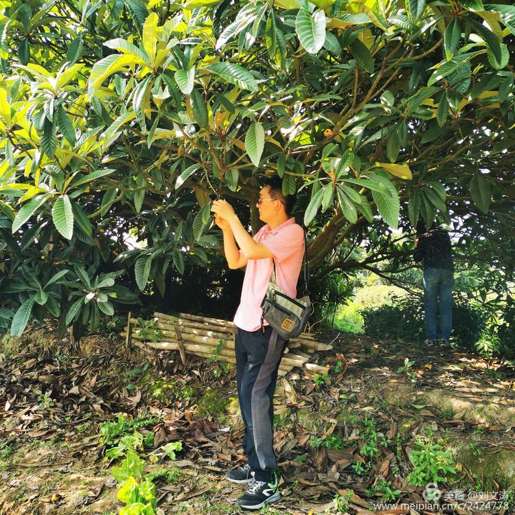 1591169362130601.jpg 43.jpg