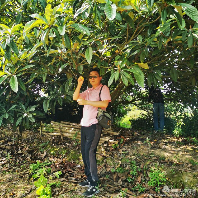 1591169366502094.jpg 44.jpg