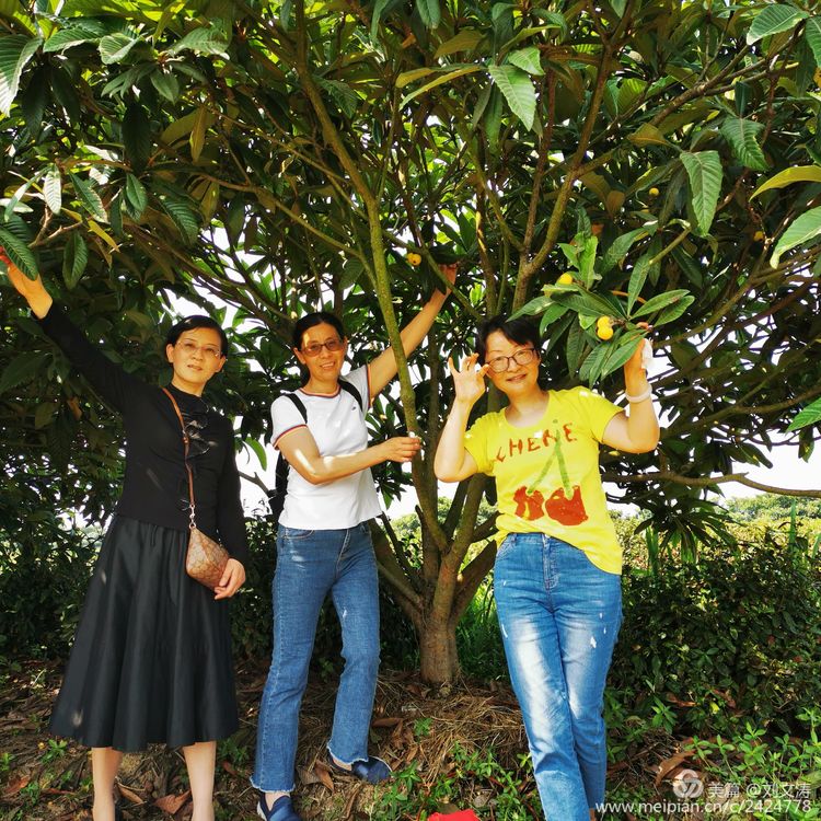 1591169383744708.jpg 48.jpg