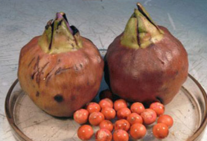 1600174397276396.jpg ab298cc43c0d97e00d66f286d8cfc90_副本.jpg