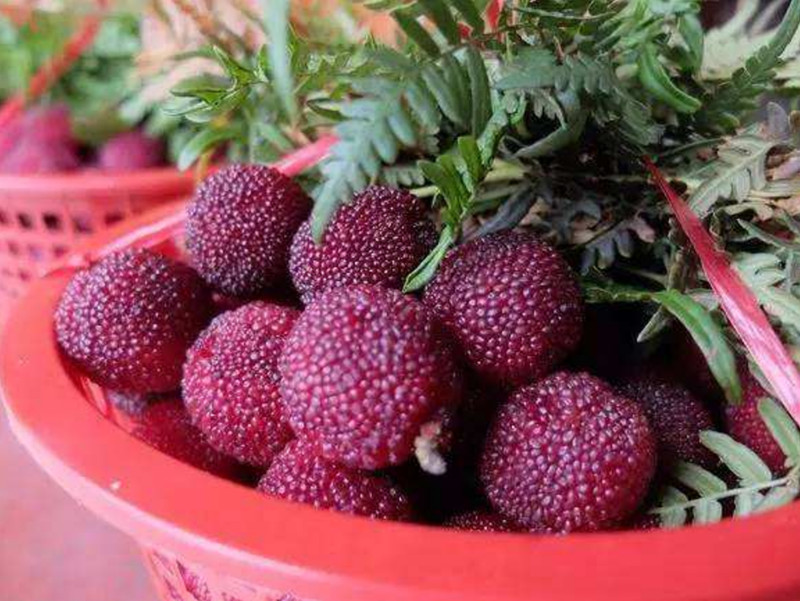 1600267454127634.jpg 89087ba2c49a897d74ea0085e132340_副本.jpg