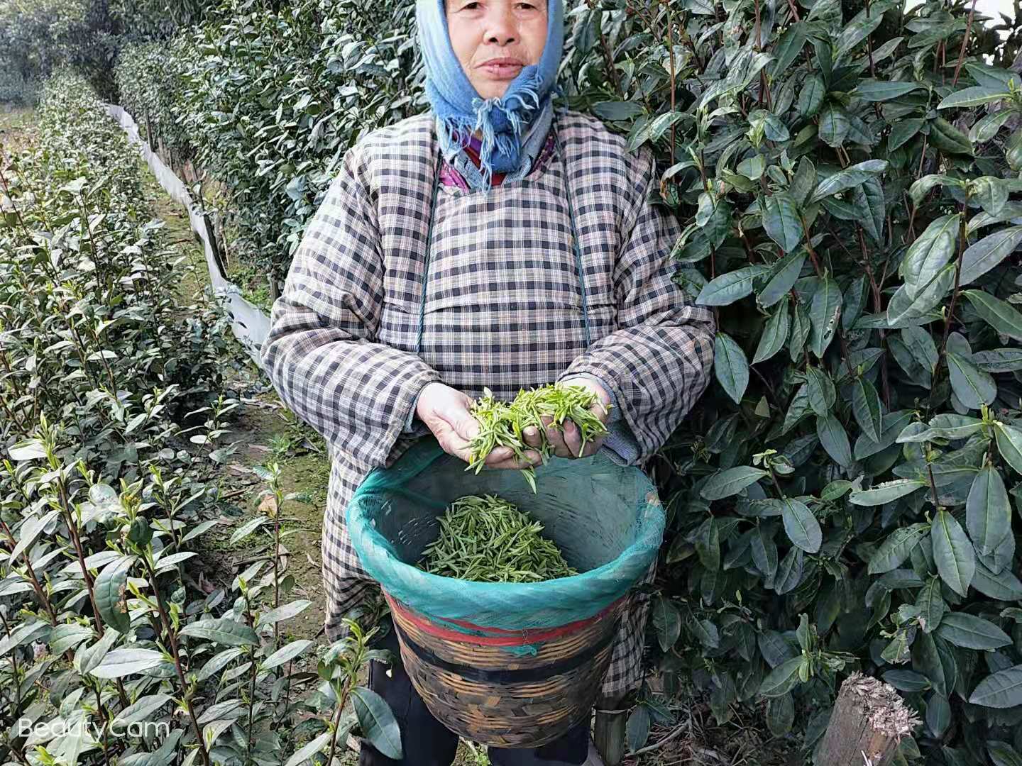 1605968513214099.jpg 471d7485fb398f036643950ac56ae18.jpg